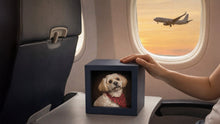 Flying With Cremated Remains: TSA Rules, Airline Tips, and Travel-Friendly Urns - Funeral.com, Inc.