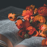 Funeral Poems and Readings: Choosing Words That Bring Comfort and Honor a Life