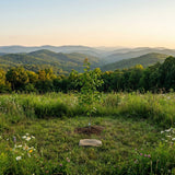 GBC-Certified Green Burial Cemeteries Serving West Virginia (2026): Provider Map, Costs & Alternatives - Funeral.com, Inc.