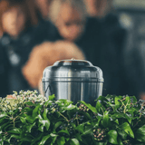 Green Funerals: Eco-Friendly Options for Saying Goodbye - Funeral.com, Inc.