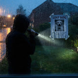 Grieving a Lost Pet (That Hasn't Died): The Pain of Rehoming or Runaways