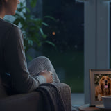 Grieving a Pet While Living Alone: Filling the Silence With Compassion