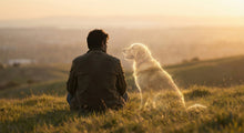 Grieving a "Soul Pet": Why This Loss Feels Different Than Others - Funeral.com, Inc.