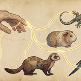 Grieving Exotic Pets: Birds, Rabbits, Reptiles, and More