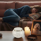 Guilt After Pet Euthanasia: What’s Normal, What Isn’t, and How to Heal