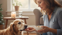 Hand-Feeding a Sick or Senior Pet: When It Helps Bonding (and When It Can Create Problems) - Funeral.com, Inc.