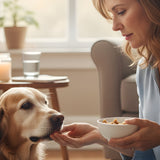 Hand-Feeding a Sick or Senior Pet: When It Helps Bonding (and When It Can Create Problems)