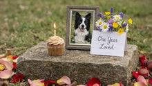 Handling Pet Loss Anniversaries With Grace - Funeral.com, Inc.