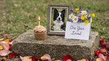 Handling Pet Loss Anniversaries With Grace