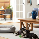 Helping Your Family Agree on When to Adopt Another Pet