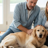 Hemangiosarcoma: Why Sudden Bleeds Happen and What to Do When a Dog Collapses