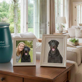 Home Burial vs. Pet Cremation: Legal and Emotional Considerations