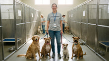 Honoring Your Pet Through Volunteering: Turning Grief Into Quiet Action