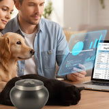 How Much Does Dog & Cat Cremation Cost in District of Columbia? 2026 Guide