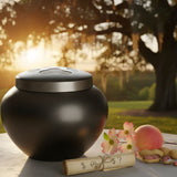 How Much Does Dog & Cat Cremation Cost in Georgia? 2026 Guide - Funeral.com, Inc.