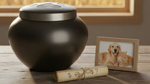 How Much Does Dog & Cat Cremation Cost in Iowa? 2026 Guide - Funeral.com, Inc.