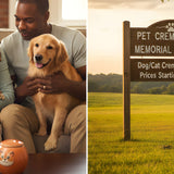 How Much Does Dog & Cat Cremation Cost in Mississippi? 2026 Guide - Funeral.com, Inc.