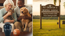 How Much Does Dog & Cat Cremation Cost in Mississippi? 2026 Guide