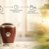 How Pet Cremation Works: Private vs Communal Options, Timeline & What to Expect