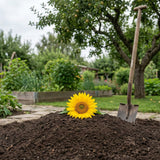 How to Bury a Dog at Home: Legal Checks, Safe Depth, and Gentle Goodbye Rituals - Funeral.com, Inc.