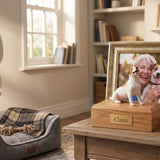 How to Bury a Dog with Love and Respect: A Complete Guide to Home Burial, Memorial Ideas, and Emotional Healing