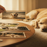 How to Create a Peaceful Final Day for Your Pet