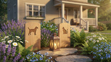 How to Create a Pet Memorial Garden at Home: Design Ideas, Plants, and Personal Touches