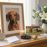 How to Create a Simple Pet Memorial Ceremony at Home - Funeral.com, Inc.