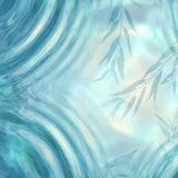 How to Document Aquamation Wishes: Wills, Advance Plans, and What Families Need to Know - Funeral.com, Inc.