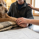 How to Know When It’s Time to Say Goodbye: Making End-of-Life Decisions for a Pet - Funeral.com, Inc.