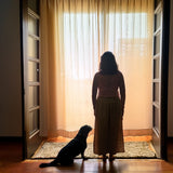 I Don't Want Another Pet Ever Again: Is This Feeling Permanent?