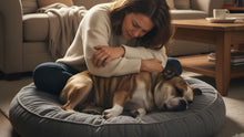 If Your Pet Dies At Home: What To Do Next (Storage, Timing, Transport & Who To Call) - Funeral.com, Inc.