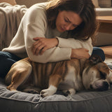 If Your Pet Dies At Home: What To Do Next (Storage, Timing, Transport & Who To Call)