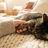 In-Home Pet Euthanasia: Typical Costs, What’s Included, and Pros &amp; Cons for Families