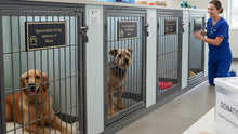 Kennel Sponsorship Memorials: How Plaques and “Sponsored Runs” Work at Shelters and Rescues - Funeral.com, Inc.