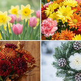 Long-Lasting Funeral Flowers for Gravesites: Best Blooms by Season, Meaning, and Durability - Funeral.com, Inc.