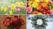 Long-Lasting Funeral Flowers for Gravesites: Best Blooms by Season, Meaning, and Durability - Funeral.com, Inc.