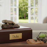 Losing a Reptile or Exotic Pet: When People Don’t Understand Your Grief - Funeral.com, Inc.