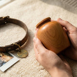 Marking the Anniversary of a Pet’s Death: Gentle Ideas for a Day of Remembrance - Funeral.com, Inc.