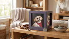 Meaningful Pet Memorial Ideas for Dogs: The Complete Guide to Honoring Your Best Friend's Legacy