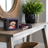 Meaningful Pet Memorial Ideas for Dogs: The Complete Guide to Honoring Your Best Friend's Legacy