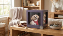 Meaningful Pet Memorials for Dogs: Beautiful Ways to Honor Your Loyal Companion Forever