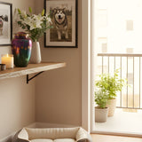 Meaningful Ways to Memorialize a Pet at Home - Funeral.com, Inc.