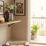 Meaningful Ways to Memorialize a Pet at Home