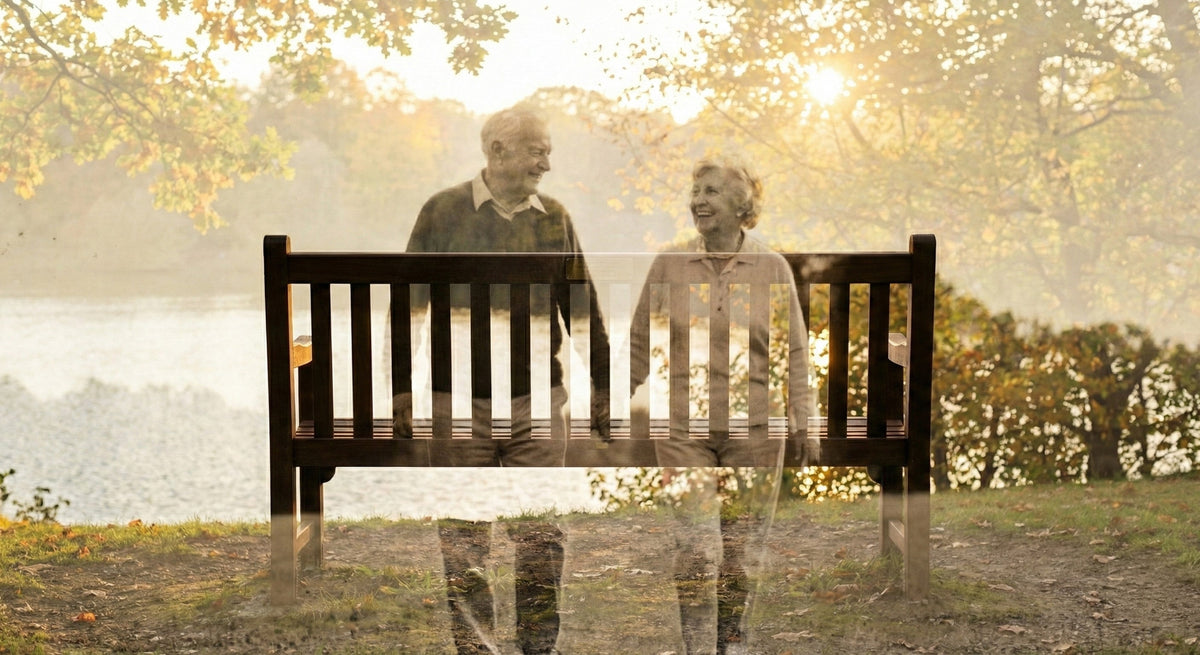 Memorial Bench Dedication: How to Place a Bench in a Park (and Inscrip ...