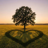 Memorial Tree Planting Programs: How Living Tributes Work, Costs, and Best Services - Funeral.com, Inc.