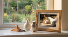 Memorializing a Pet at Home: Altars, Photos, Candles, and Everyday Rituals - Funeral.com, Inc.
