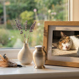 Memorializing a Pet at Home: Altars, Photos, Candles, and Everyday Rituals