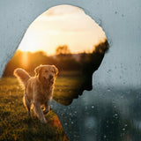 Missed Signs: Forgiving Yourself for Not Catching the Illness Sooner