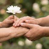 Multifaith Funerals: How to Blend Traditions Respectfully When Families Have Different Beliefs